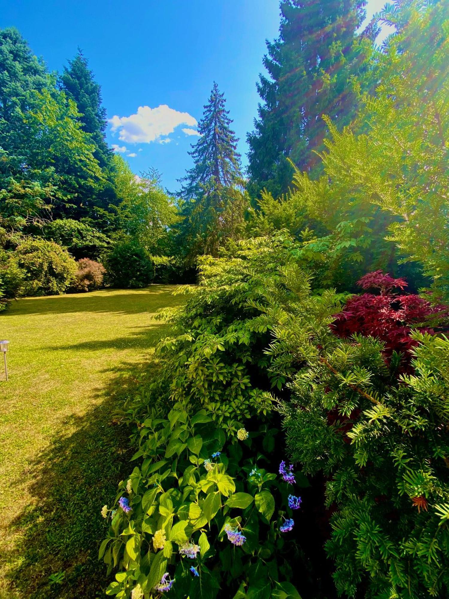 Eichendorff Garten Apartment, Zentrumsnah, In Direkter Naehe Zur Universitaet Bayreuth